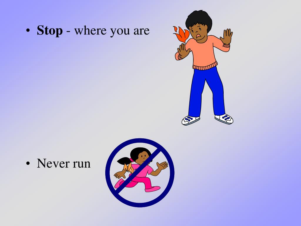 PPT Stop, Drop and Roll PowerPoint Presentation, free download ID