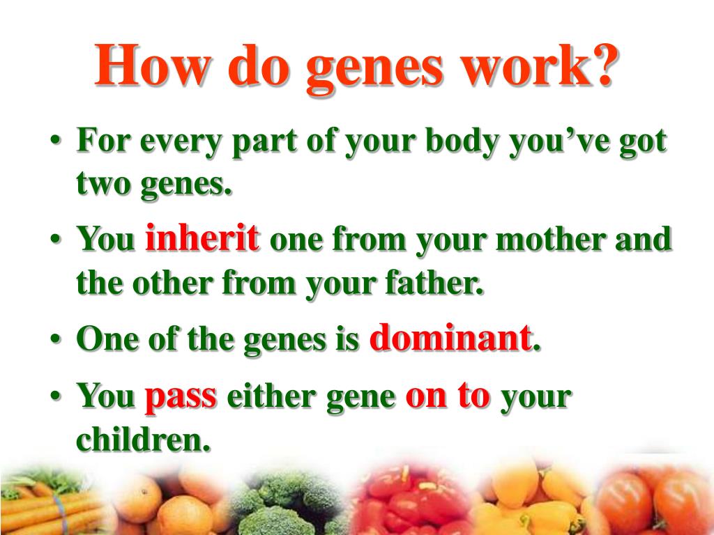 PPT Activity One It’s All in Your Genes Activity Two Gene