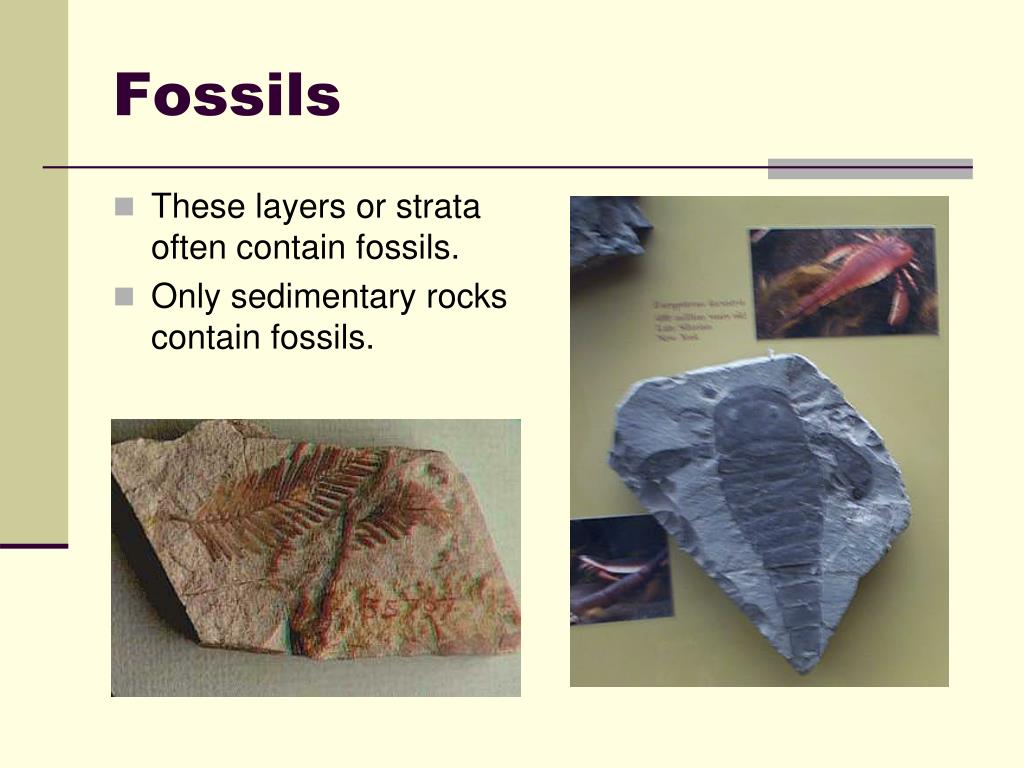 PPT Sedimentary Rocks PowerPoint Presentation, free download ID5317152