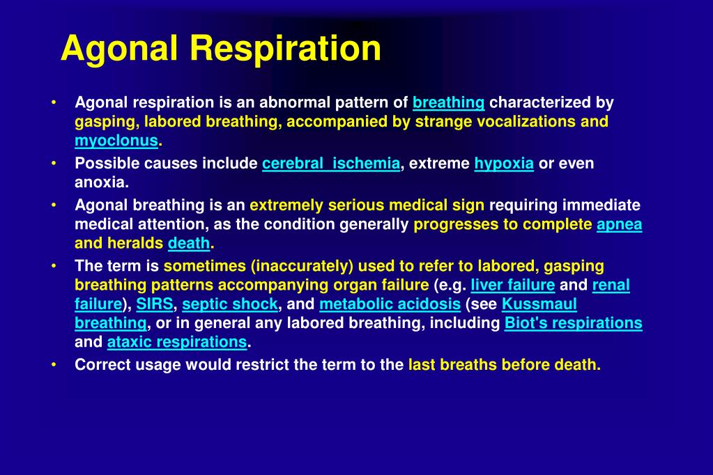 PPT Patterns of Respiration BY AHMAD YOUNES PROFESSOR OF THORACIC