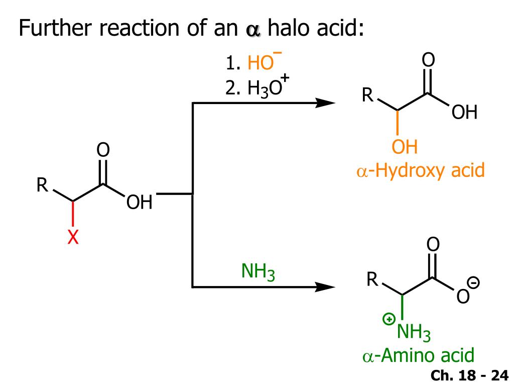 PPT Chapter 18 PowerPoint Presentation, free download ID5318983