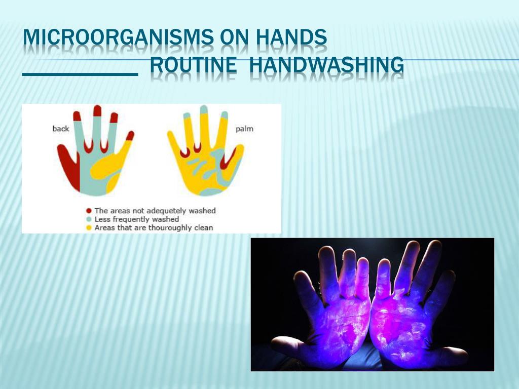 PPT Hand Hygiene PowerPoint Presentation, free download ID5319758