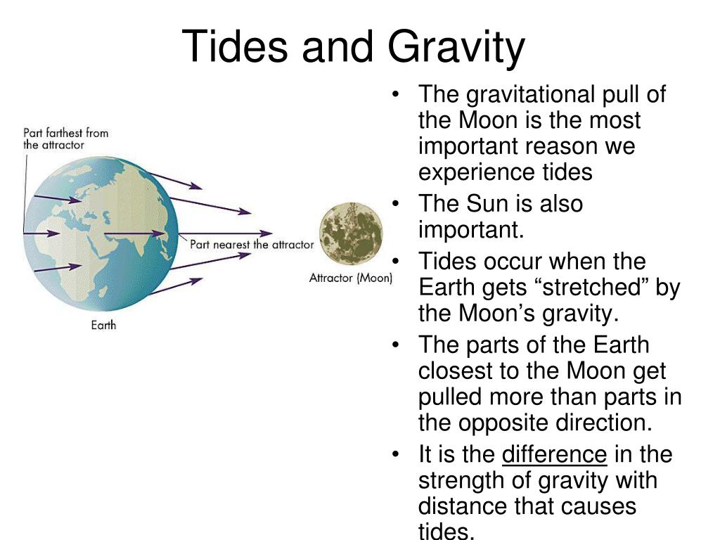 PPT Tides PowerPoint Presentation, free download ID5320353