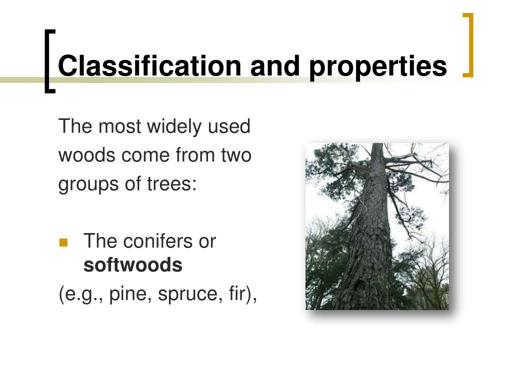 PPT Wood PowerPoint Presentation, free download ID5320477