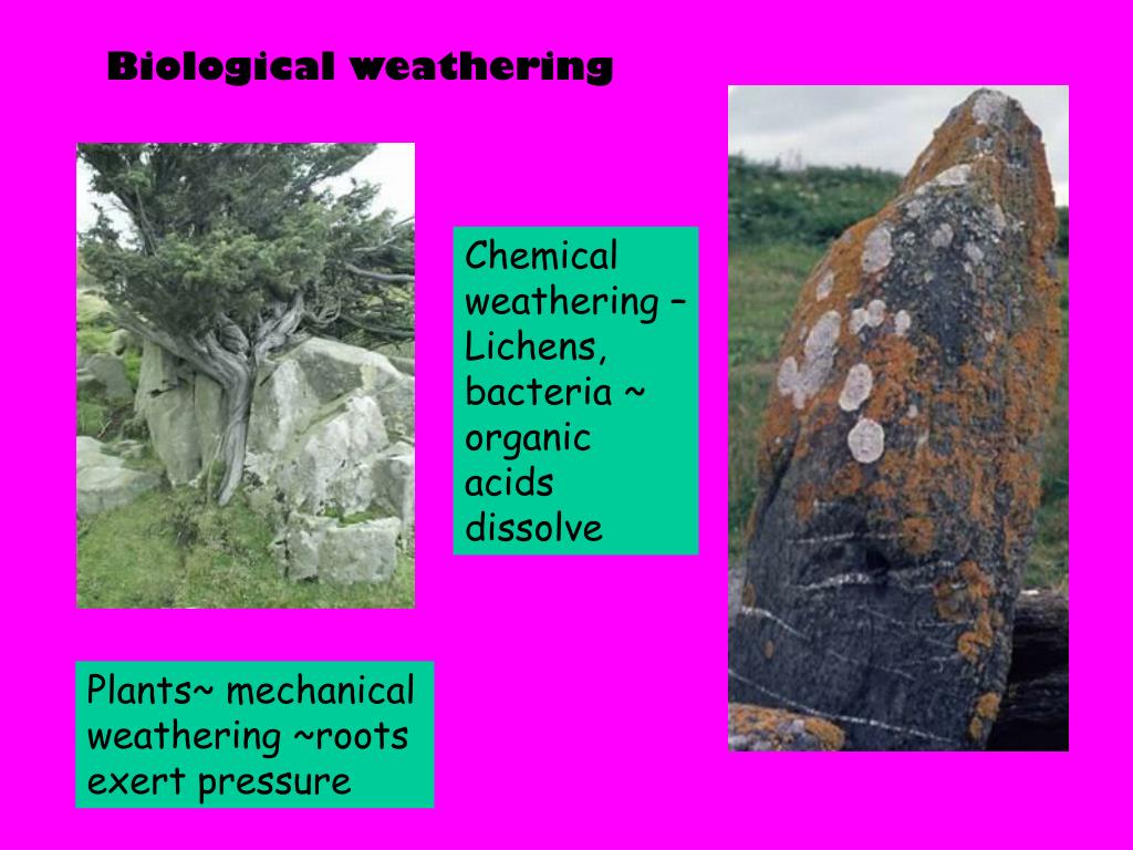 PPT Revision River Environments PowerPoint Presentation, free