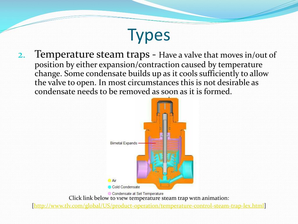 PPT Steam Traps PowerPoint Presentation, free download ID5326082