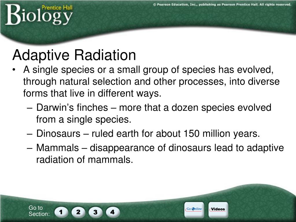 PPT Concept Map PowerPoint Presentation, free download ID5330521