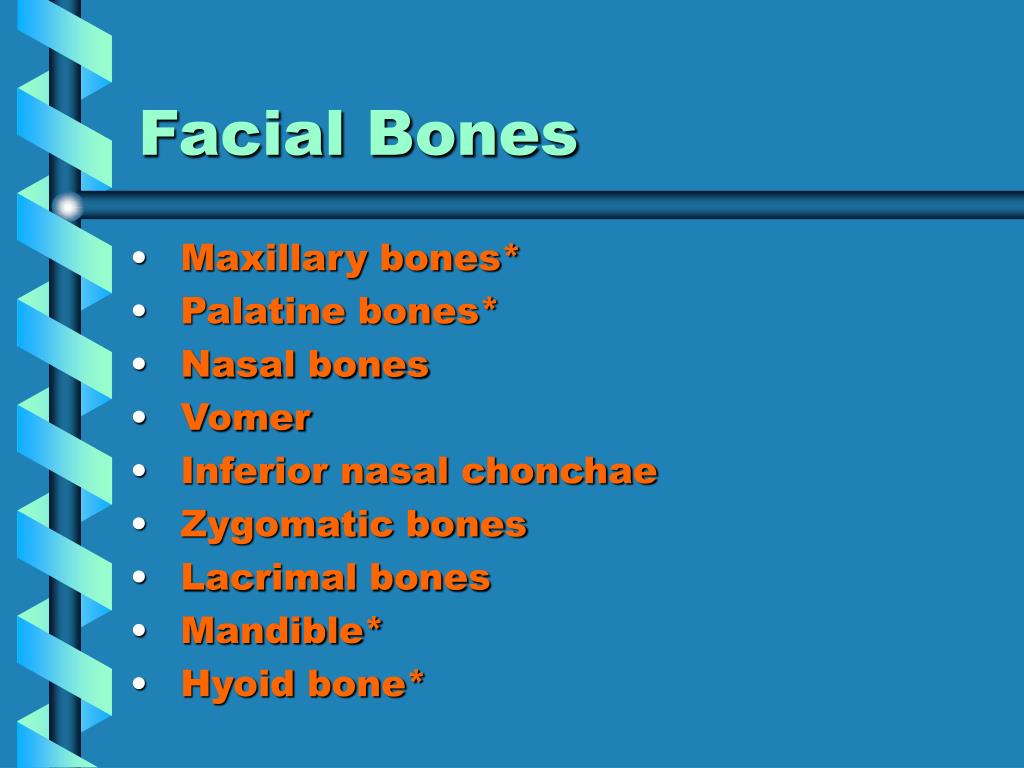 PPT The Skeleton System PowerPoint Presentation, free download ID