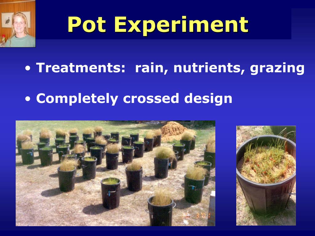 PPT Bush encroachment in African savannas PowerPoint Presentation, free download ID5332804