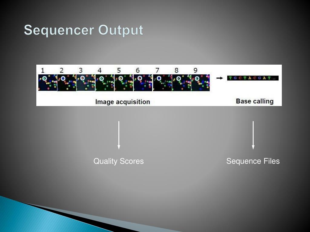 PPT Next Generation Sequencing PowerPoint Presentation, free download ID5333171