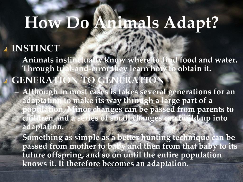 PPT Adaptation & Climate Change PowerPoint Presentation, free