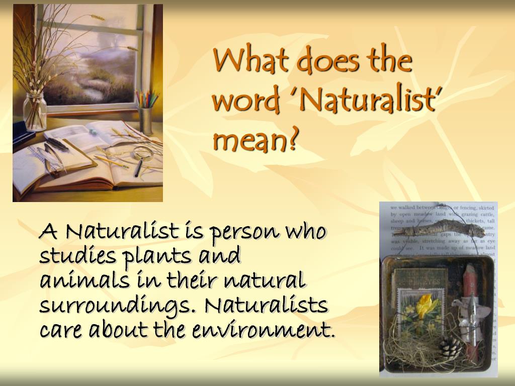 PPT As a Garden Earth Naturalist, YOU can make a difference