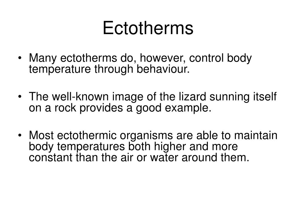 PPT TEMPERATURE REGULATION PowerPoint Presentation, free download