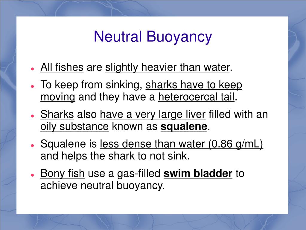 PPT Chapter 16 Notes, Fish PowerPoint Presentation, free download