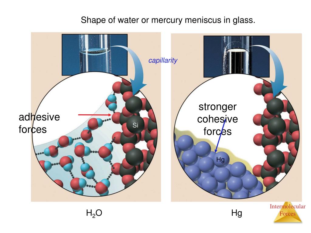 PPT Chapter 9 Intermolecular Forces, Liquids, and Solids PowerPoint