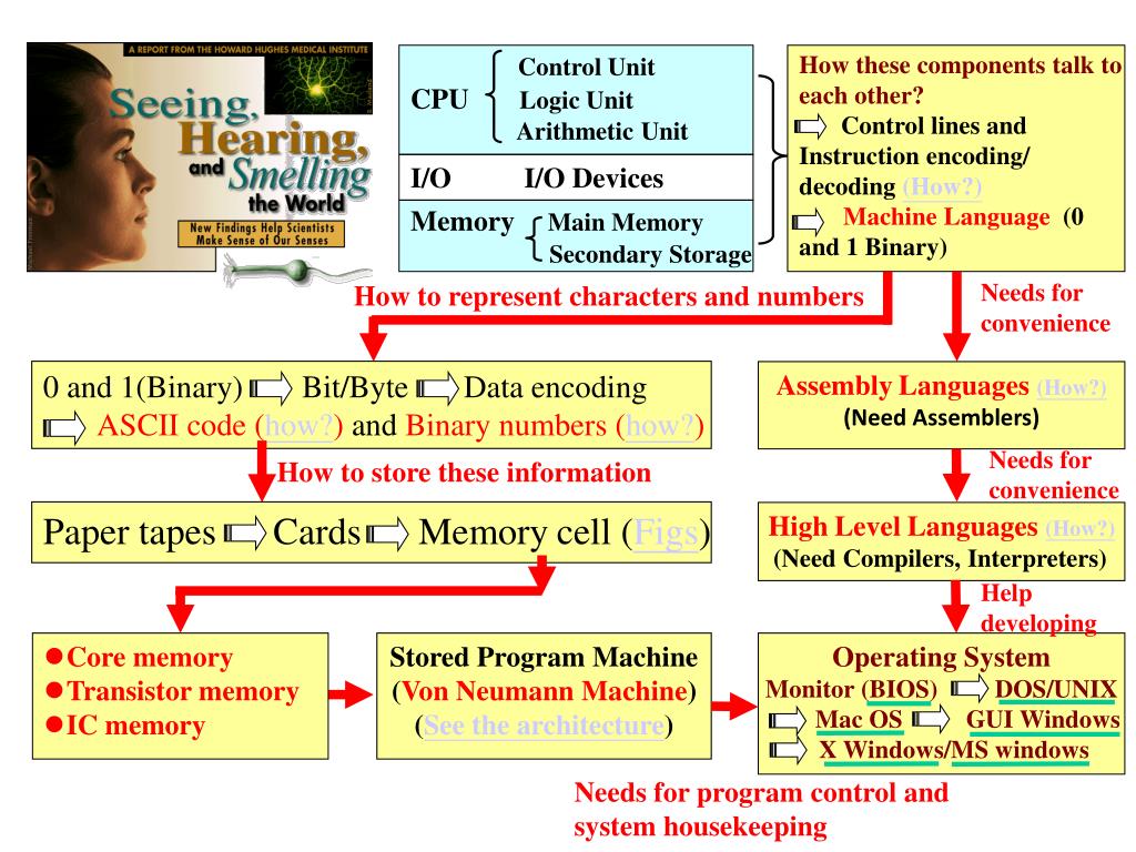 PPT Control Unit CPU Logic Unit Arithmetic Unit PowerPoint
