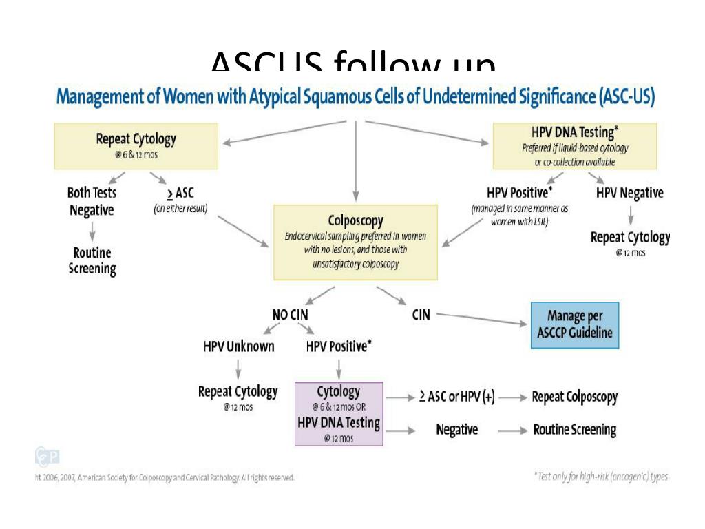 PPT Cervical Cancer Screening PowerPoint Presentation, free download