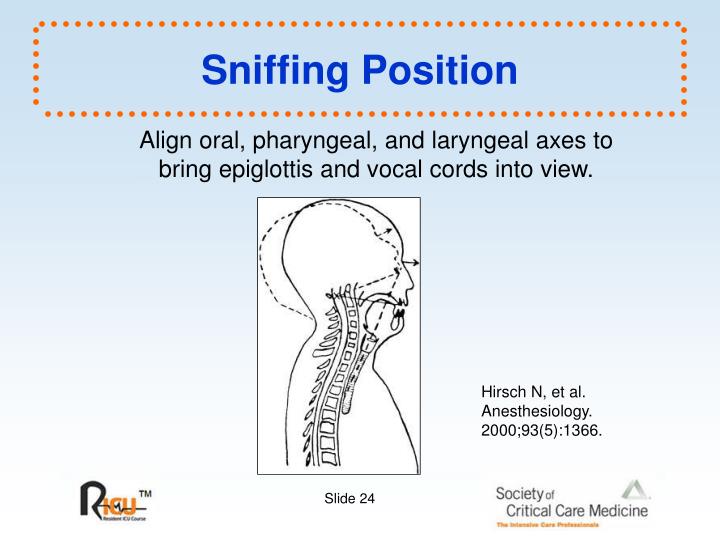 PPT Program Information PowerPoint Presentation ID5341271