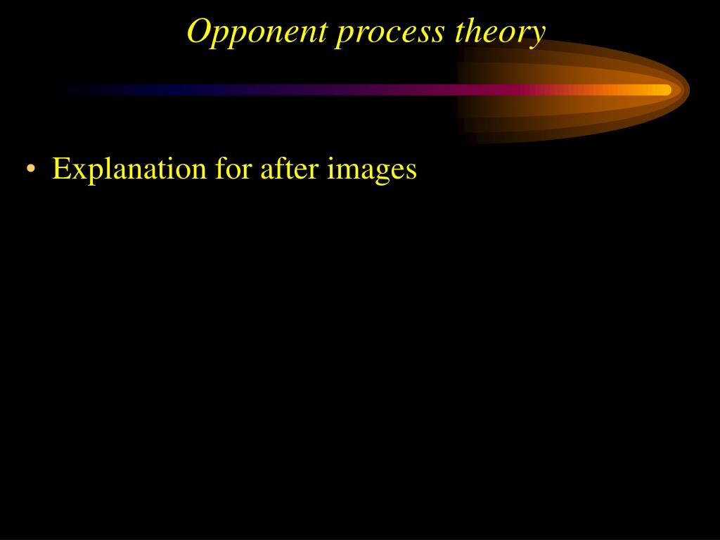 PPT Sensation and perception PowerPoint Presentation, free download