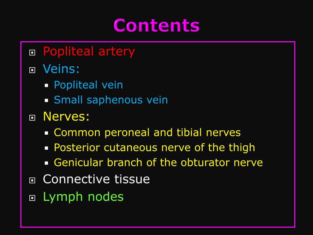 PPT Posterior compartment of thigh PowerPoint