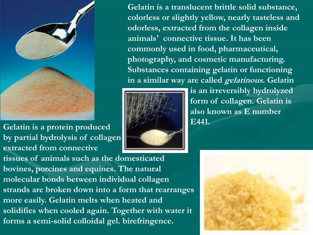 PPT Manufacture of Gelatin PowerPoint Presentation, free download