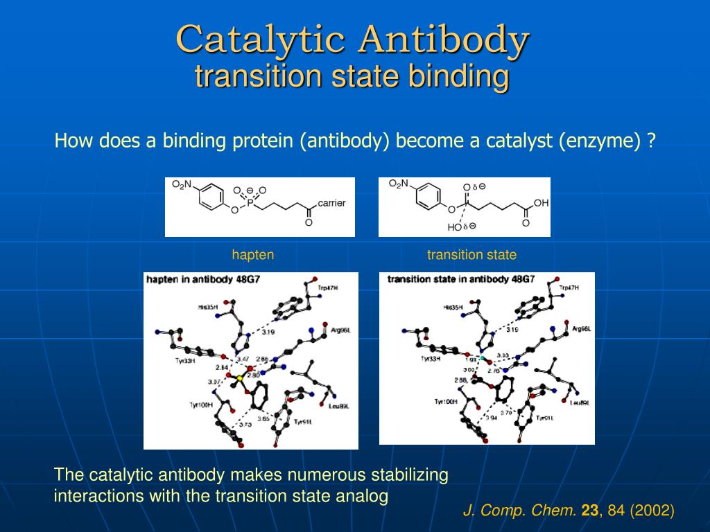 PPT Enzyme Catalysis PowerPoint Presentation, free download ID5349643