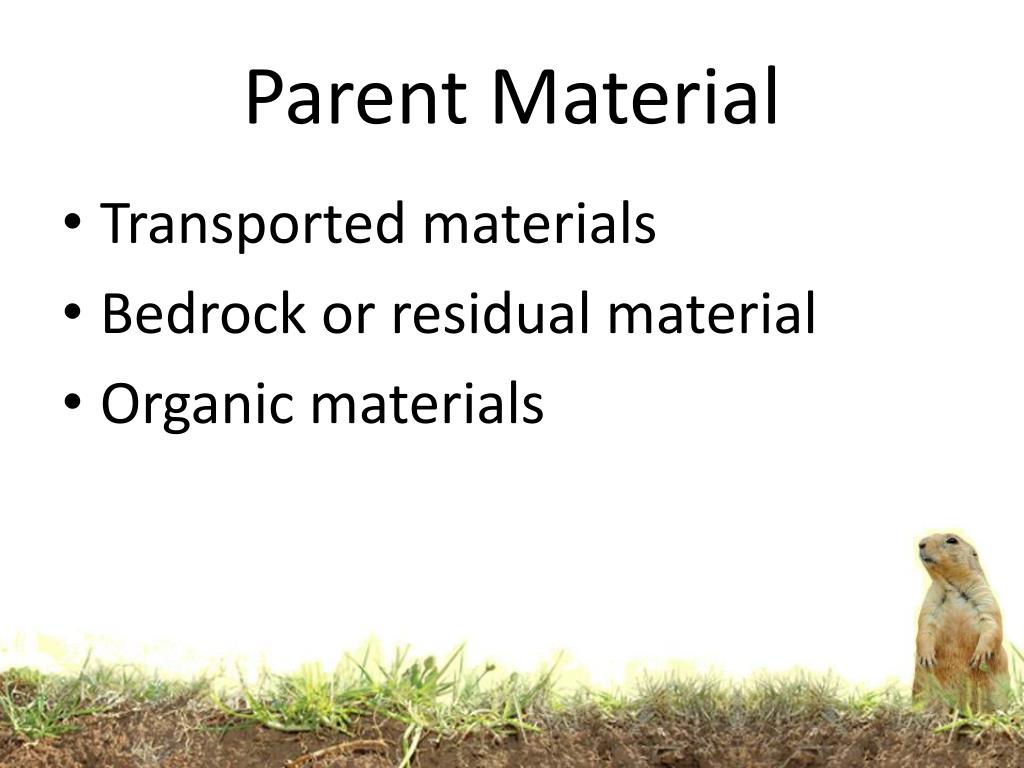 PPT How Do Soils Form? PowerPoint Presentation, free download ID