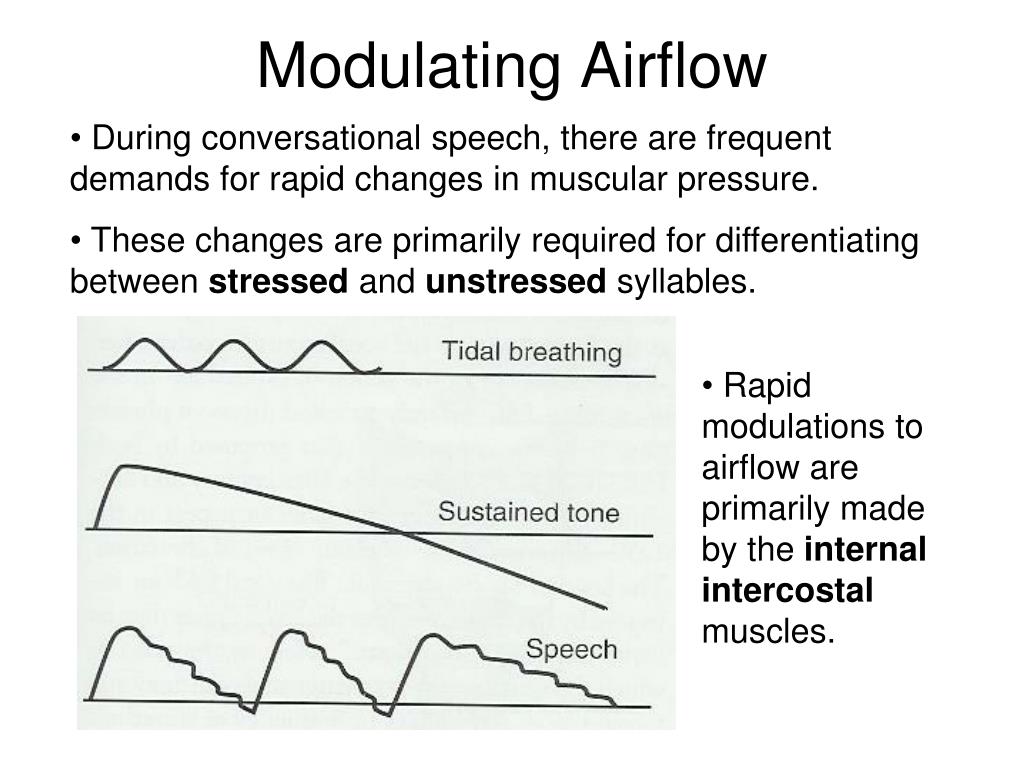 PPT Respiration + Vocal Fold Physiology PowerPoint Presentation, free