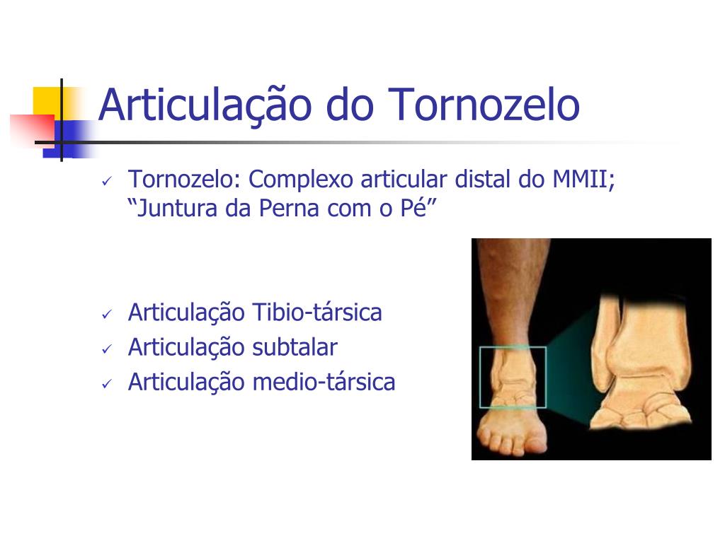 PPT BIOMECÂNICA PÉ E TORNOZELO PowerPoint Presentation, free download