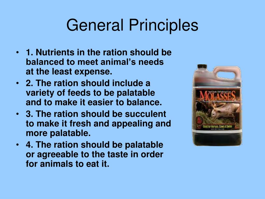 PPT Principles of Animal Nutrition PowerPoint Presentation, free