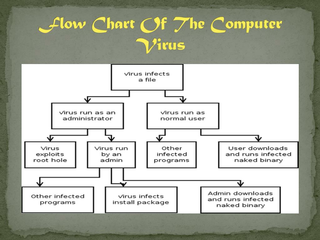 PPT What is a Computer Virus ? PowerPoint Presentation, free download