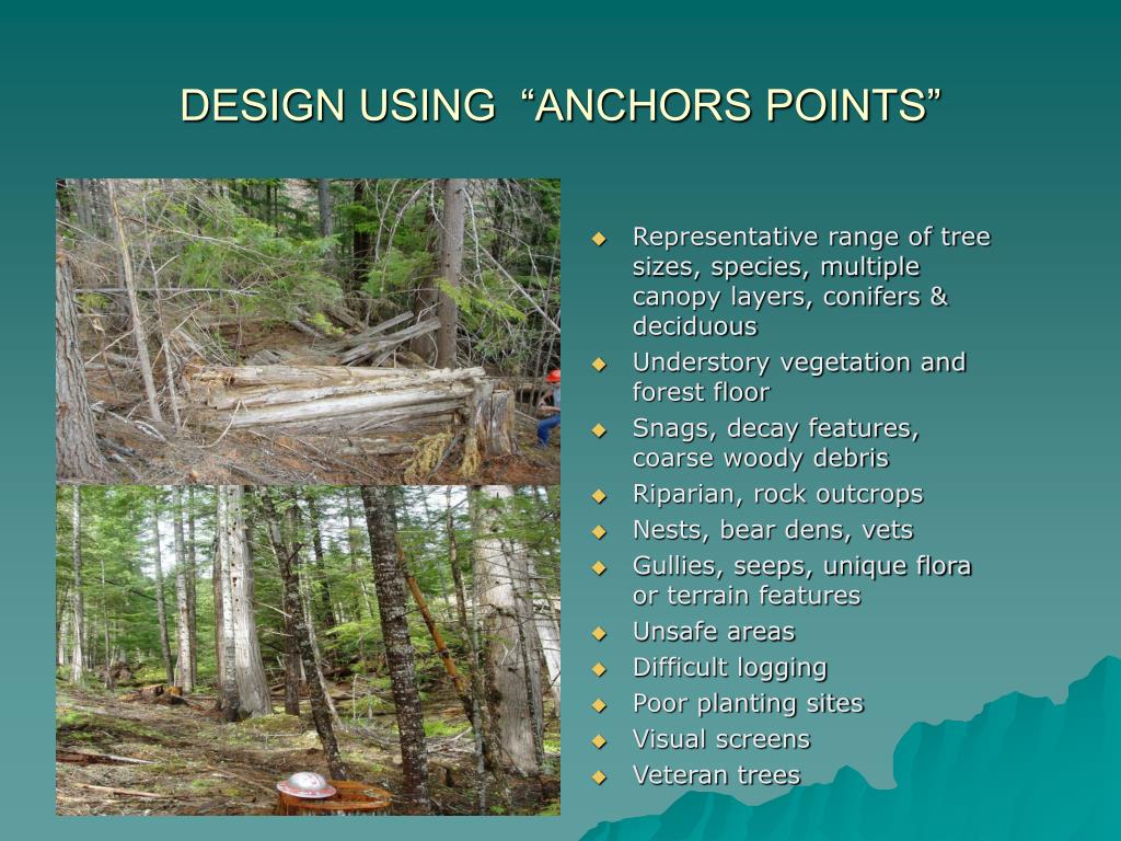 PPT VARIABLE RETENTION HARVESTING ON POTLATCH FORESTS PowerPoint