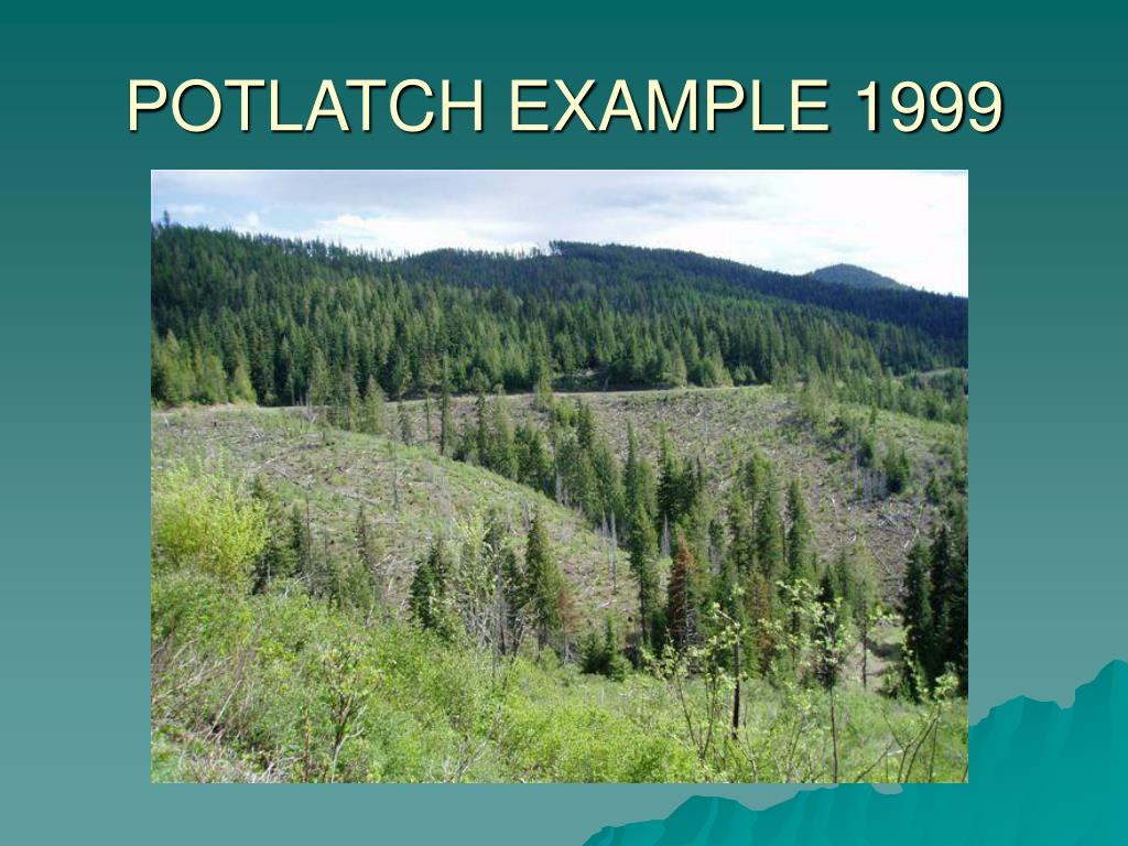 PPT VARIABLE RETENTION HARVESTING ON POTLATCH FORESTS PowerPoint