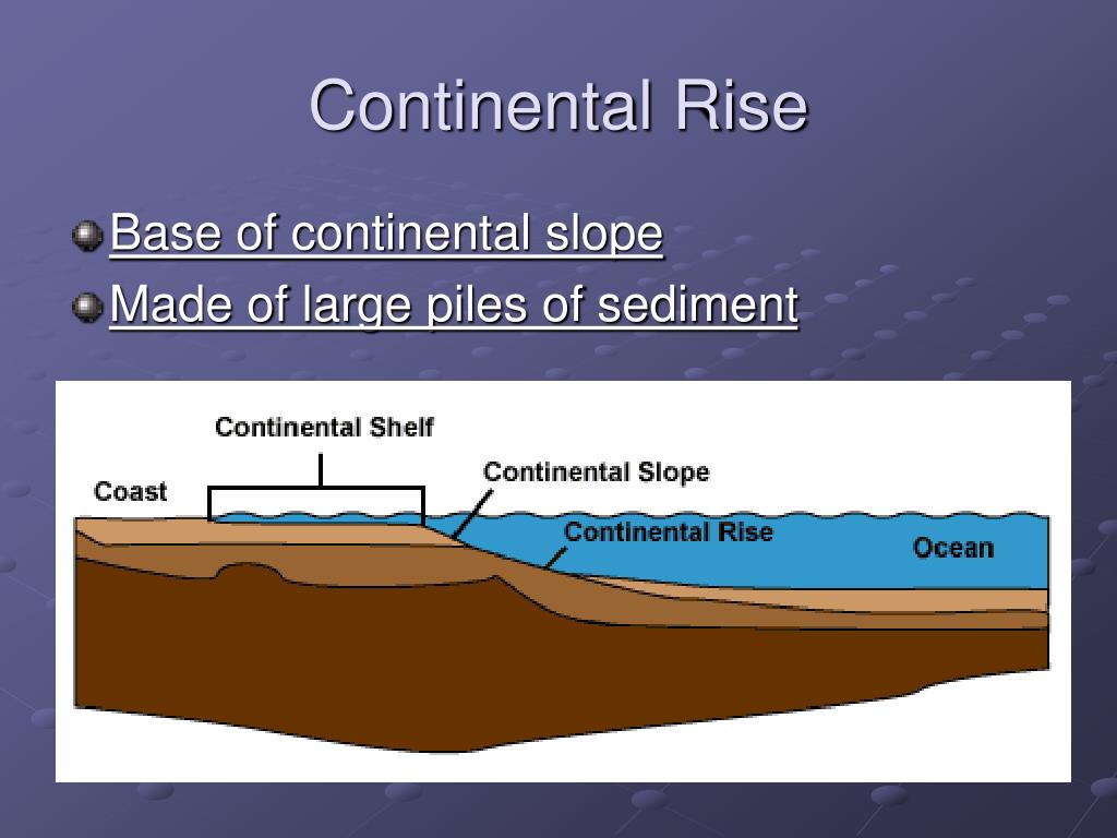 PPT The Ocean Floor PowerPoint Presentation, free download ID5371379