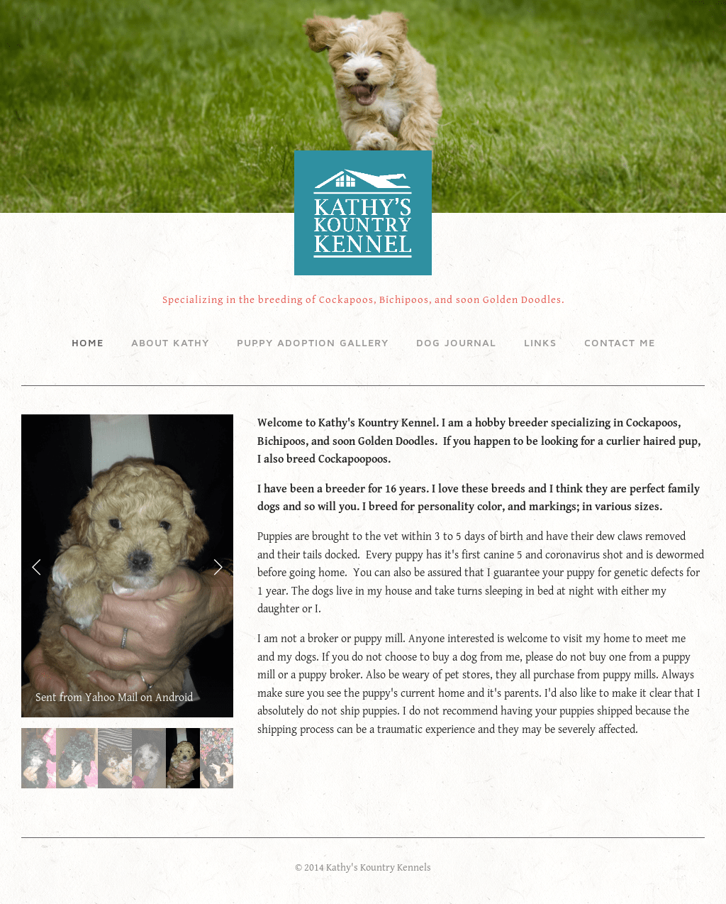 Kathy s Kountry Kennel Kountry chic boutique s best boards