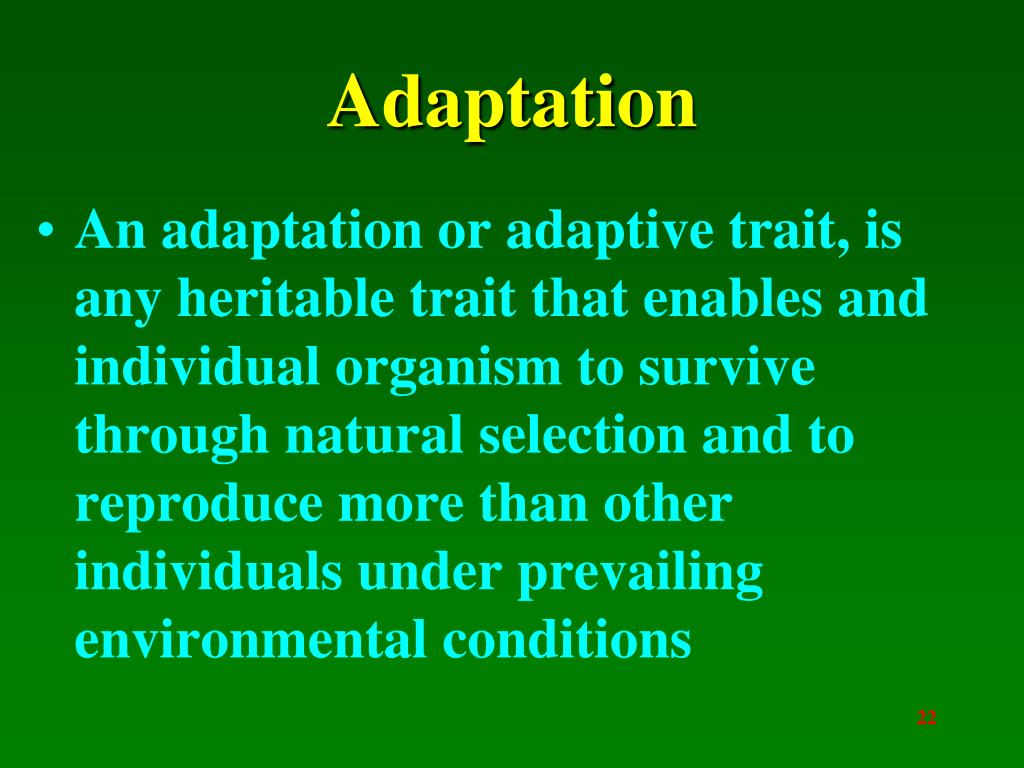 PPT Biodiversity PowerPoint Presentation, free download ID5374468