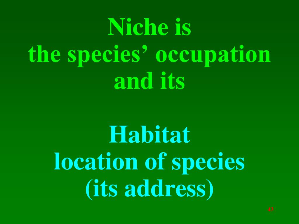 Habitat Location Synonym at Clarence Wall blog