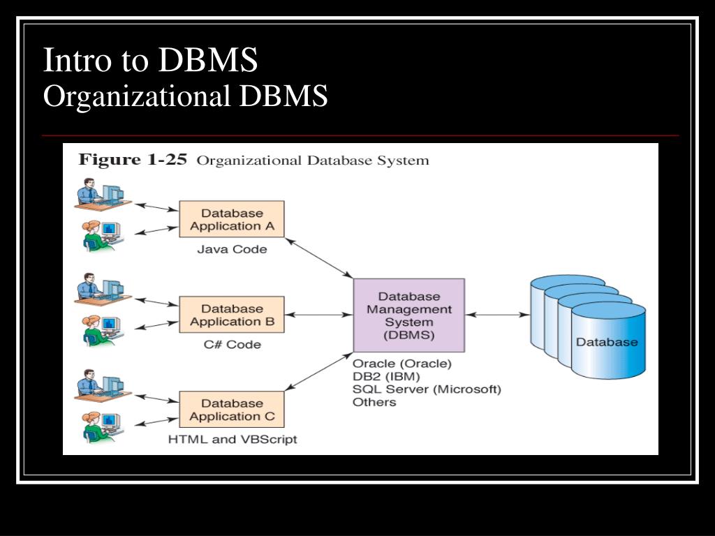 PPT Database Management System (DBMS) an Introduction PowerPoint