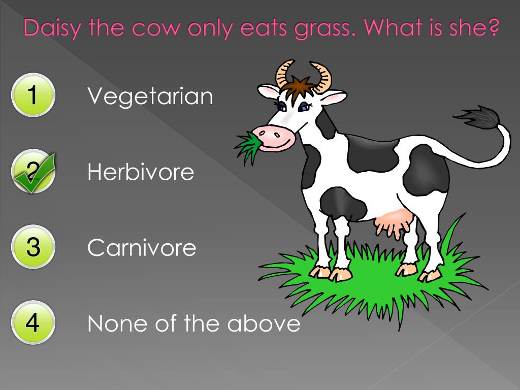 PPT Carnivores, Herbivores, and Omnivores PowerPoint Presentation