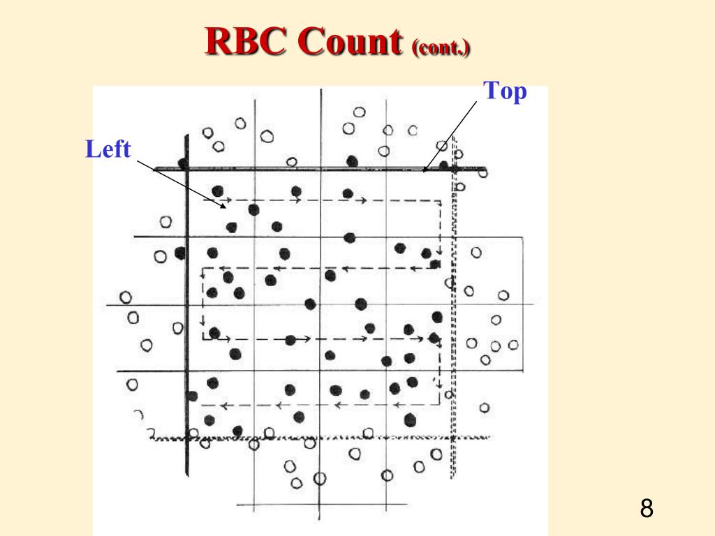 PPT RBC Count, Hb, Hct, Blood Indices WBC Count & Plt Count
