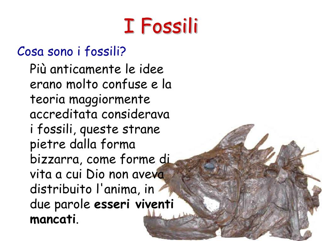 Fossili e dinosauri. La scienza sulle tracce di draghi e altri.