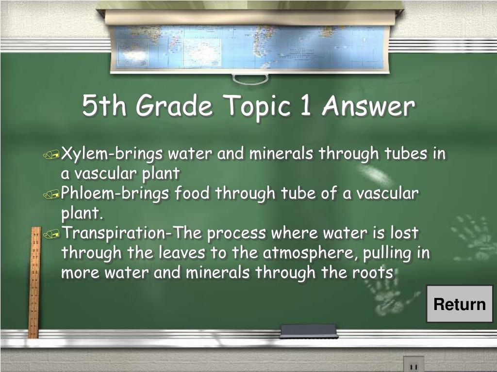 PPT Are You Smarter Than a 5 th Grader? PowerPoint Presentation, free