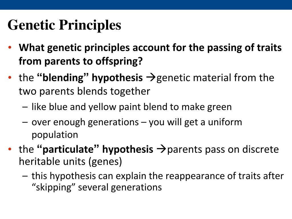 PPT Mendel and the Gene Idea PowerPoint Presentation, free download