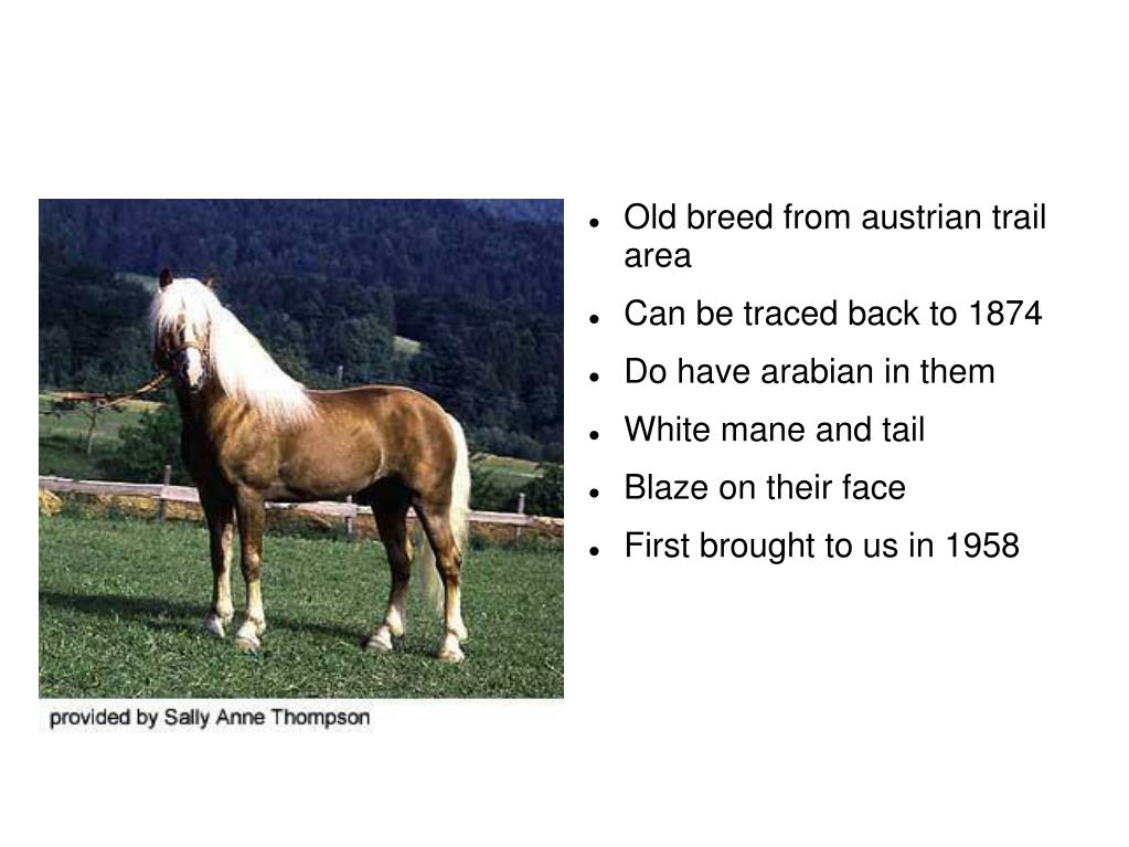 Del Mar Horse Racing Season San Diego, Ca.