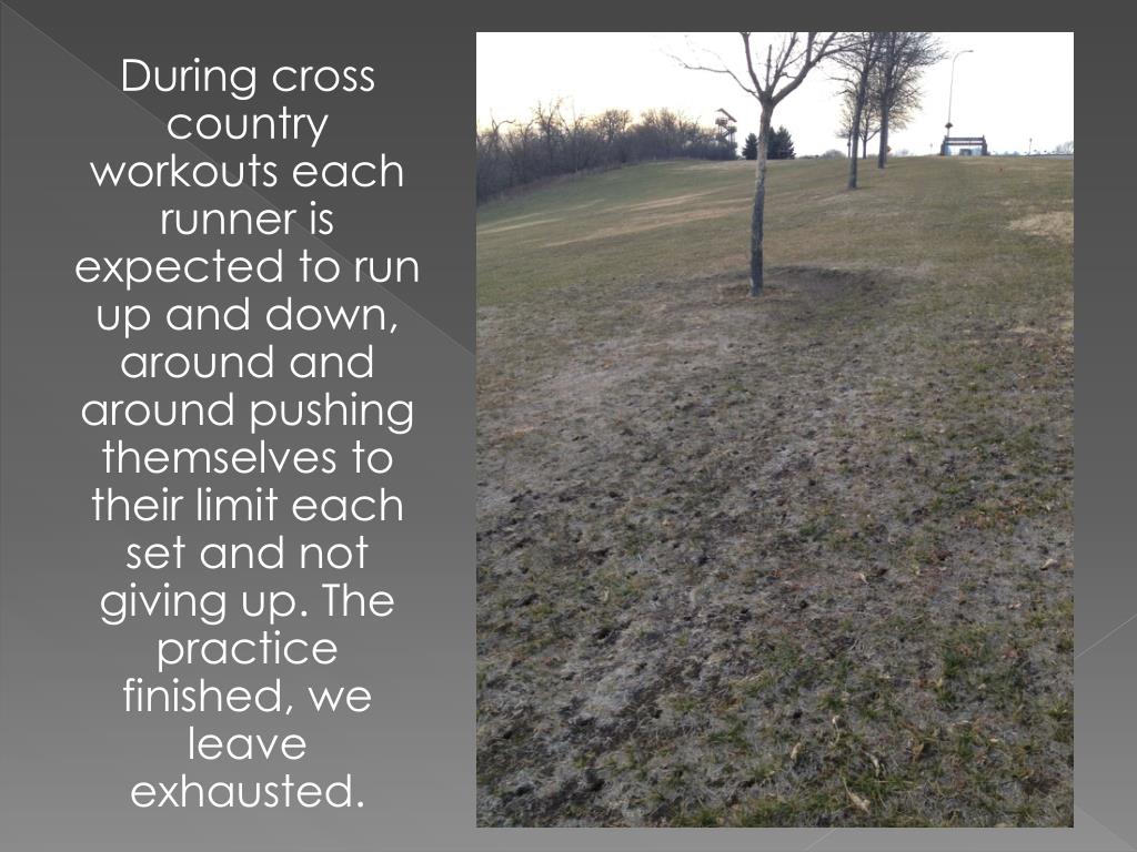 PPT Cross Country Other Sport’s Punishment PowerPoint Presentation