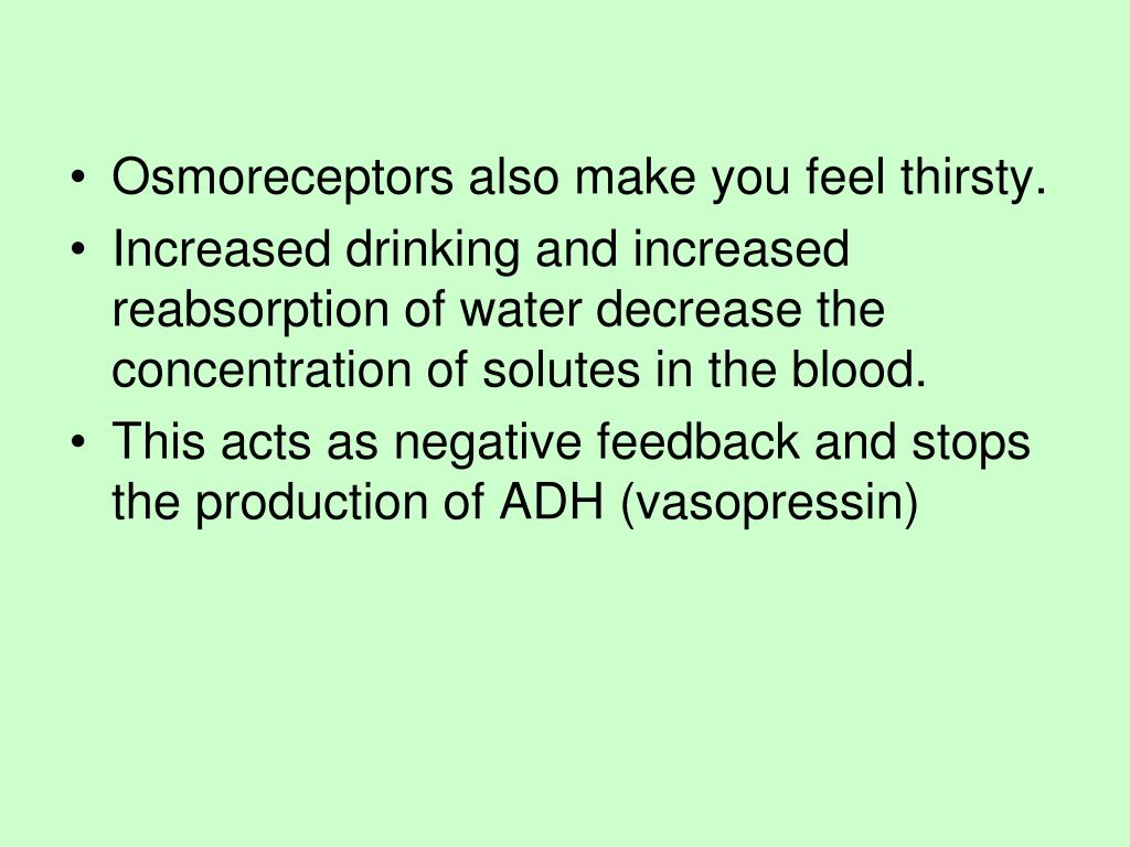 PPT Water Balance and Blood Pressure PowerPoint Presentation, free