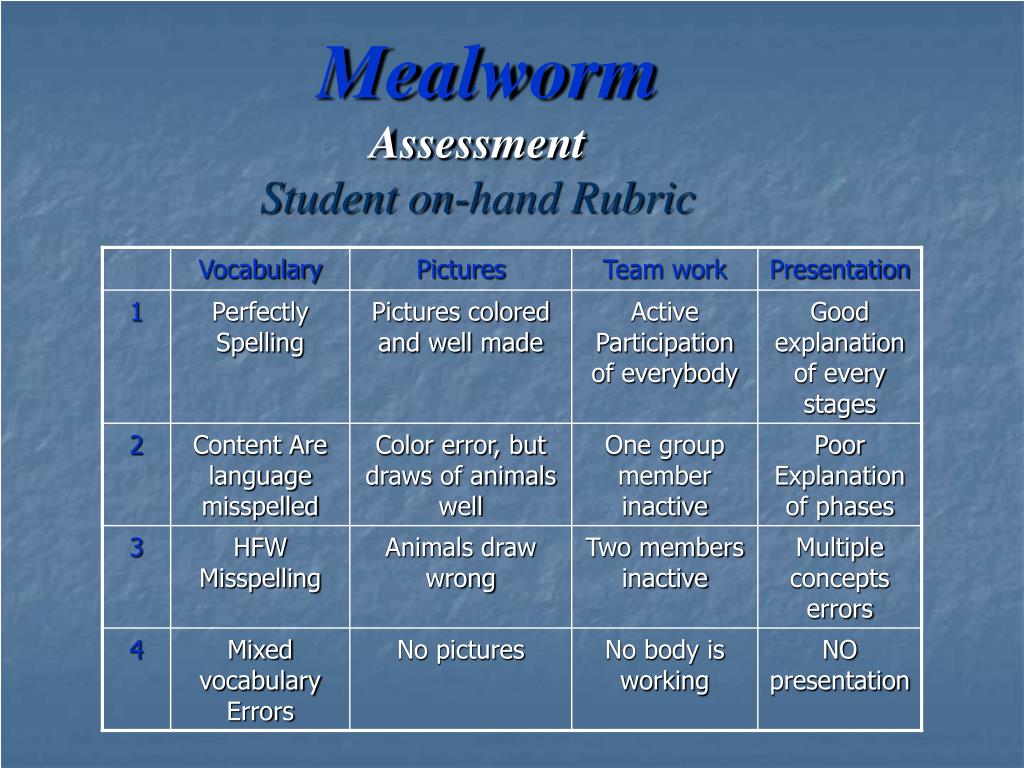 Mealworm Definition Science at Helen Young blog