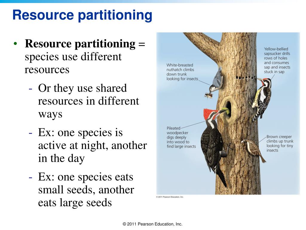 PPT APES PowerPoint Presentation, free download ID5404929