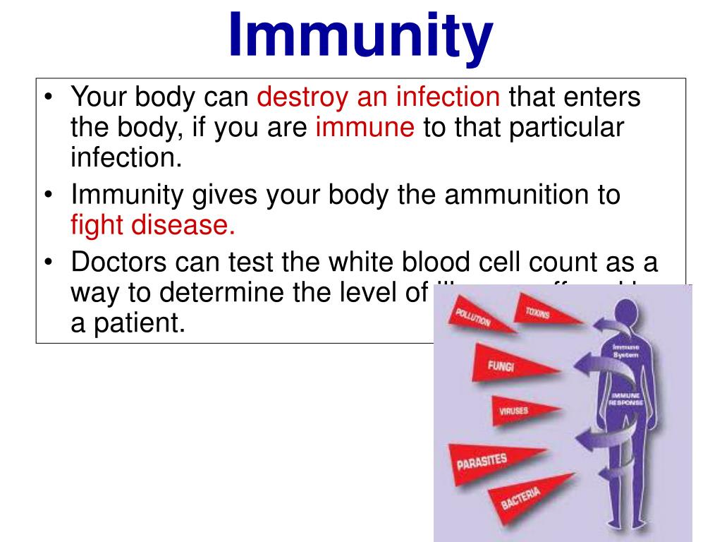 PPT Salon Ecology PowerPoint Presentation, free download ID5407207