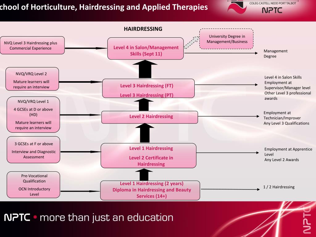 PPT Level 1 Hairdressing (2 years) Diploma in Hairdressing and Beauty